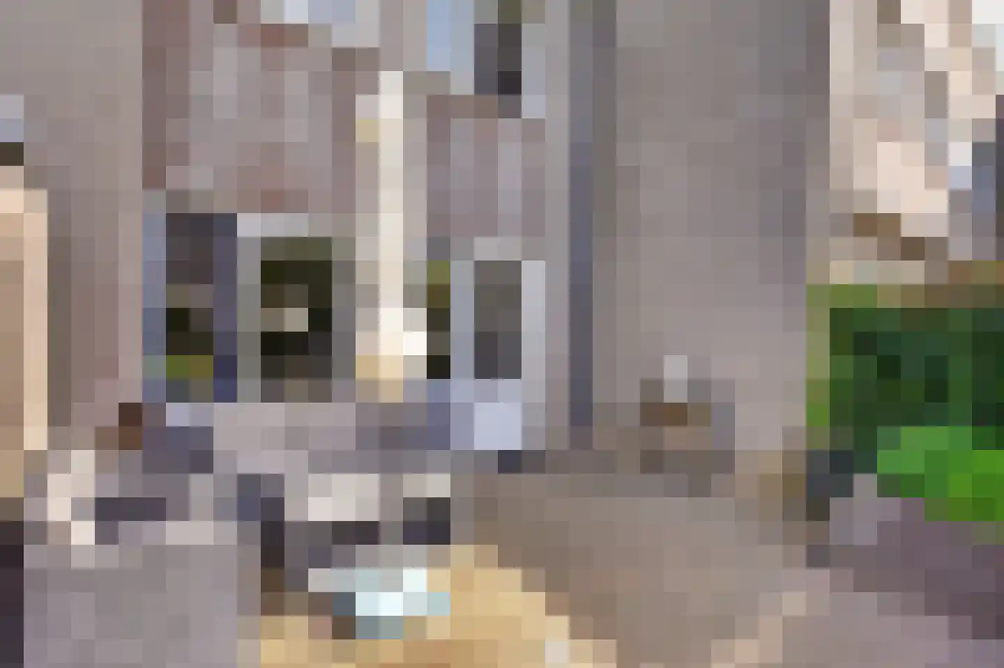 Prins Mauritsplein 42 Hoogeveen thumbnail 32
