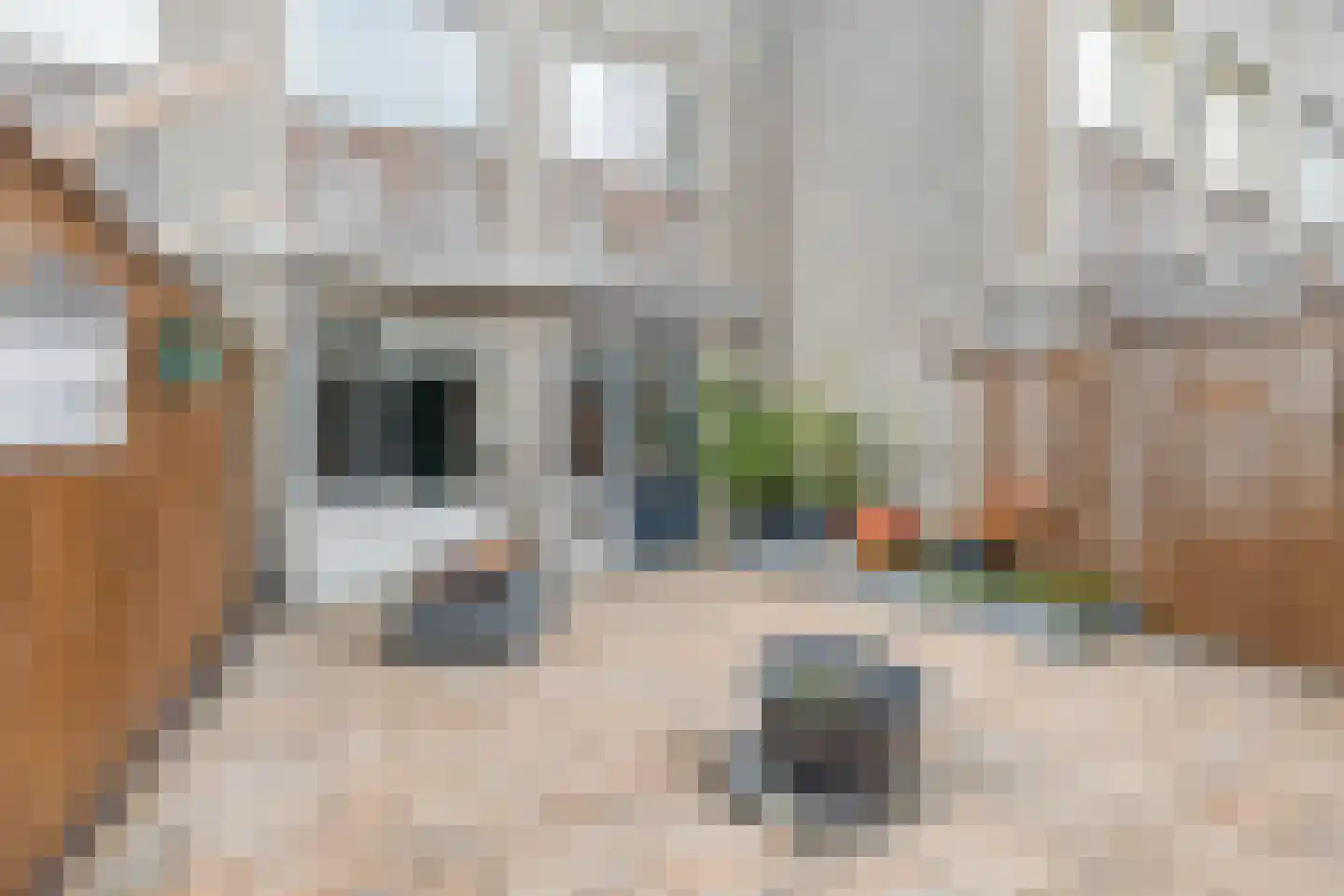 Prins Mauritsplein 50 Hoogeveen thumbnail 30