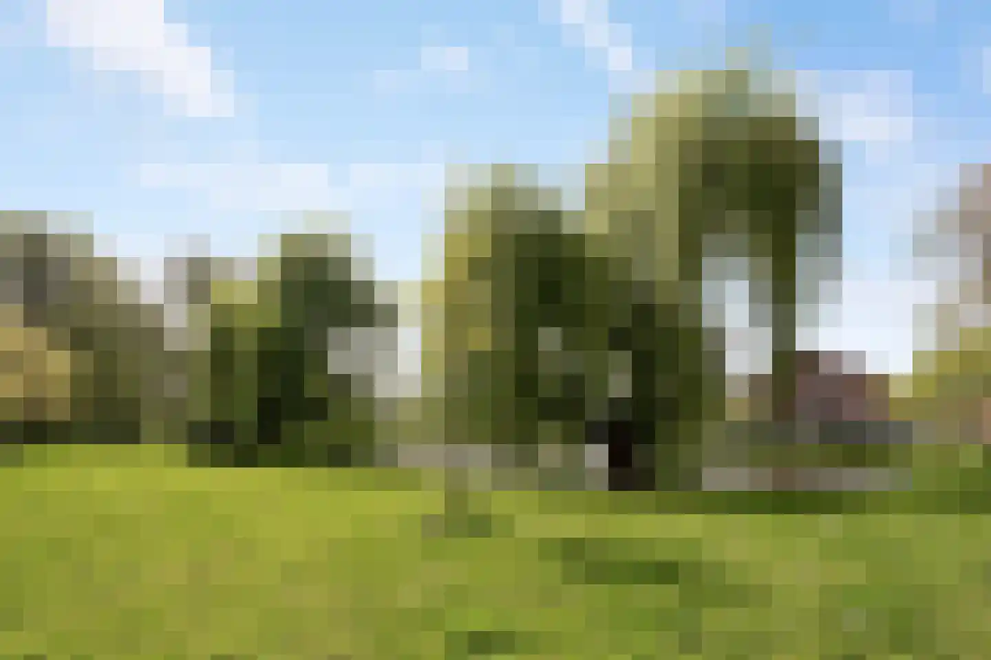 Prins Mauritssingel 109 B Rotterdam thumbnail 38