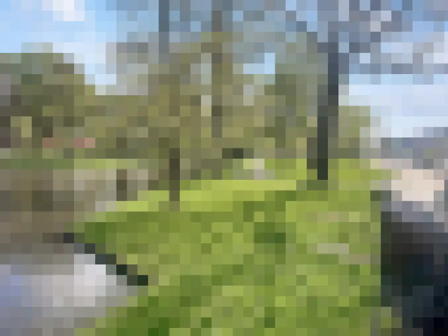 Prins Mauritssingel 109 B Rotterdam thumbnail 6