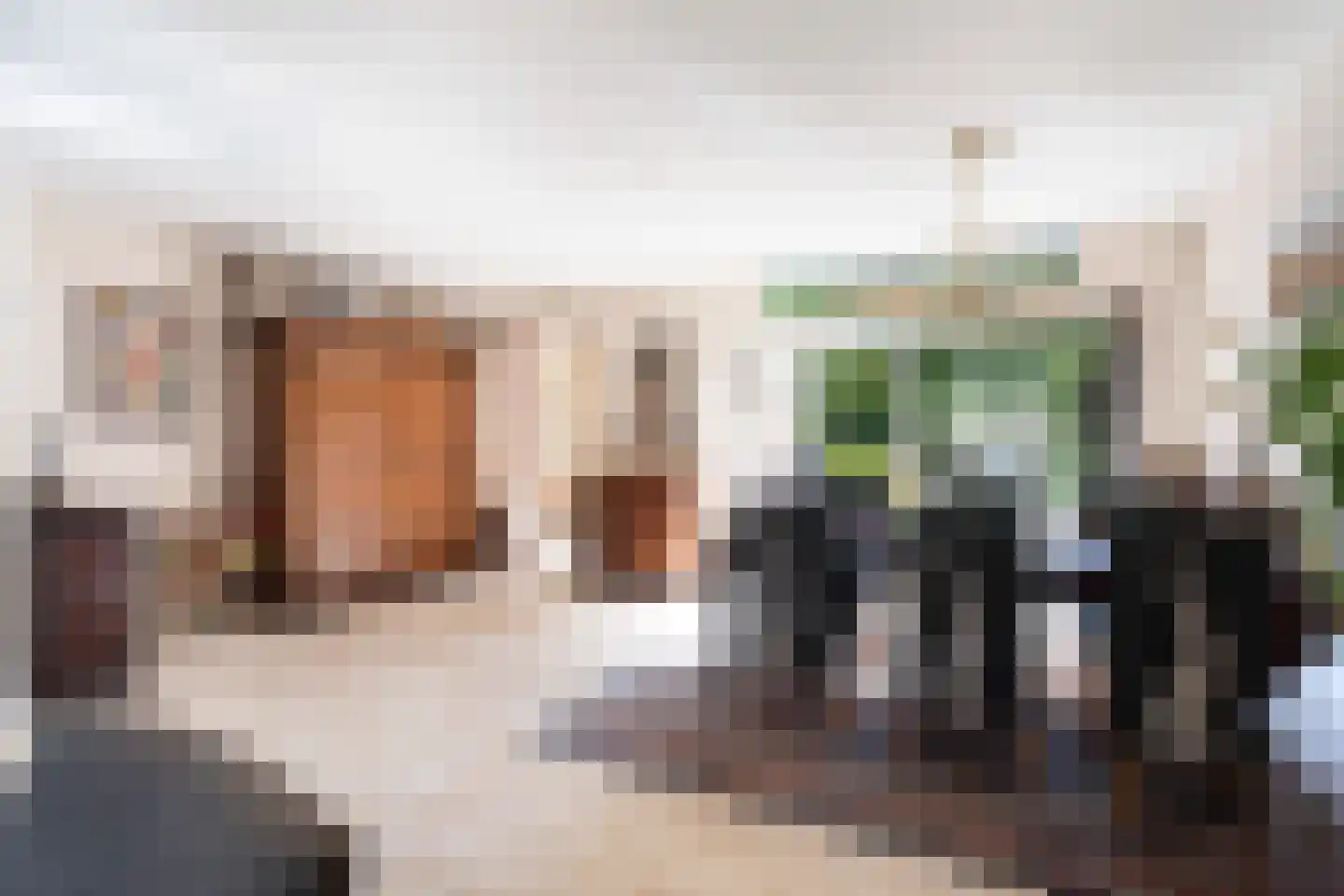 Prins Mauritssingel 12 Woerden thumbnail 12