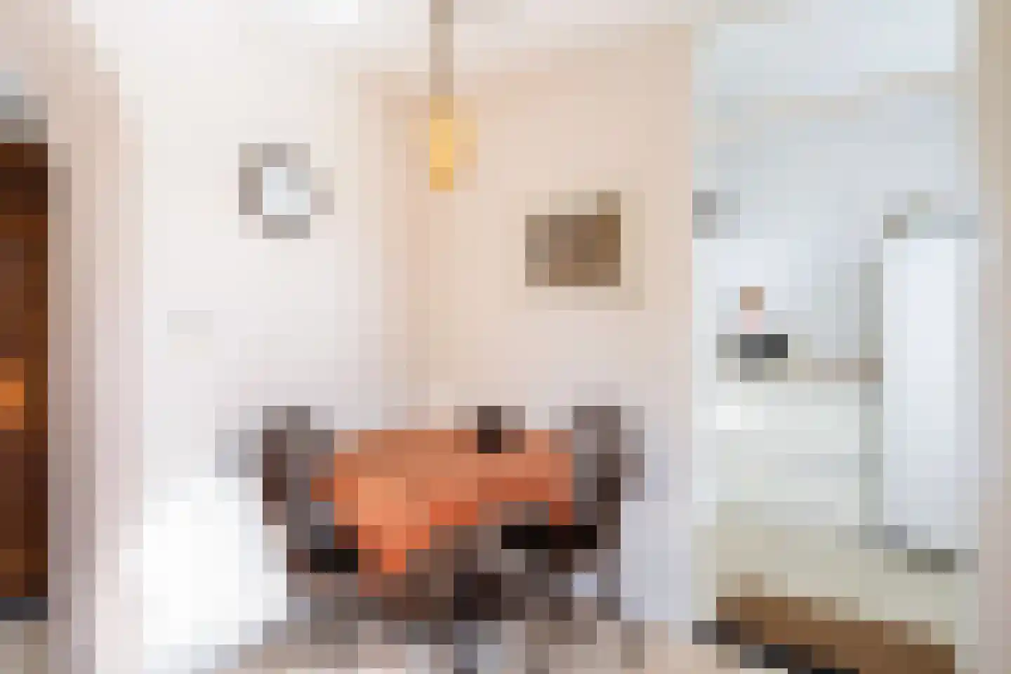 Prins Mauritssingel 12 Woerden thumbnail 17