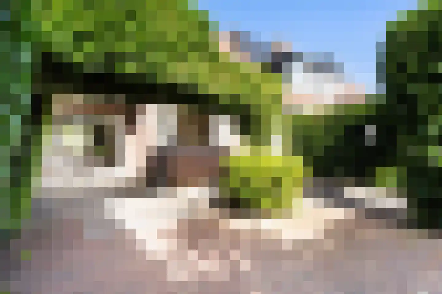 Prins Mauritssingel 12 Woerden thumbnail 22