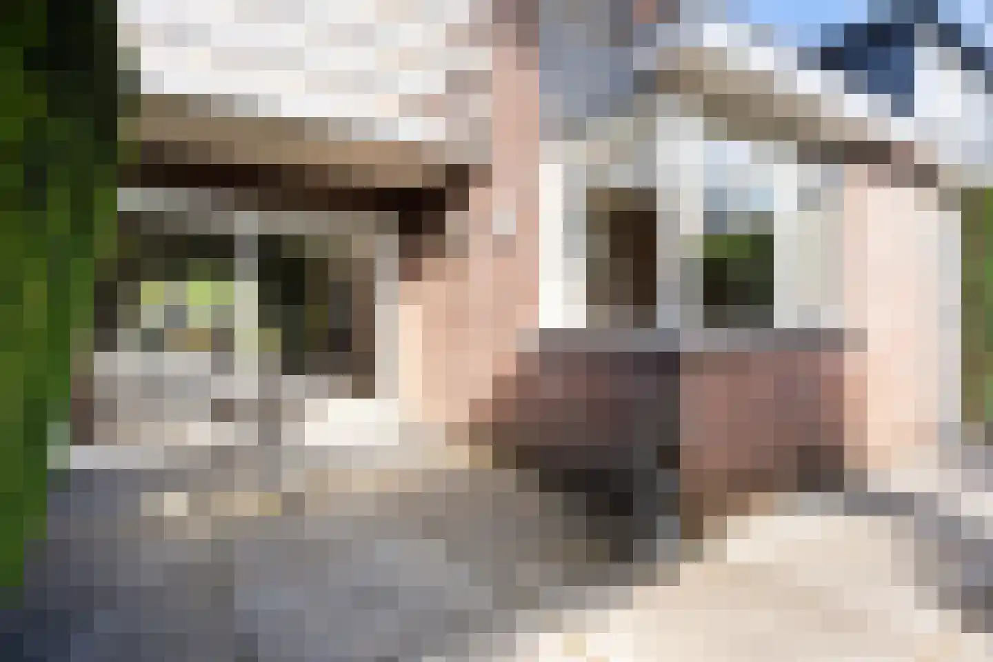 Prins Mauritssingel 12 Woerden thumbnail 23
