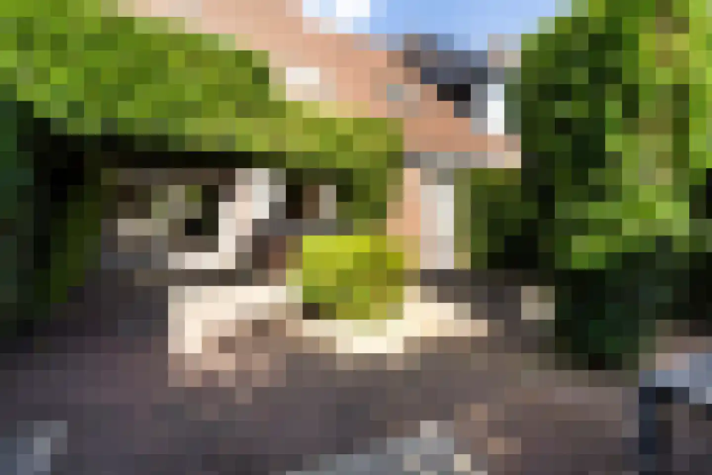 Prins Mauritssingel 12 Woerden thumbnail 24