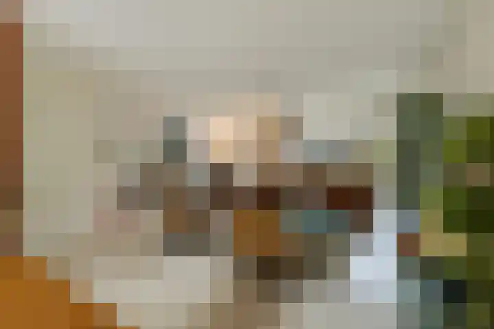 Prins Mauritssingel 20 Woerden thumbnail 11