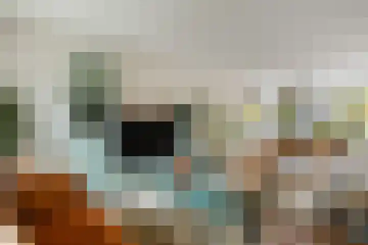 Prins Mauritssingel 20 Woerden thumbnail 12