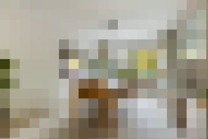 Prins Mauritssingel 20 Woerden thumbnail 15