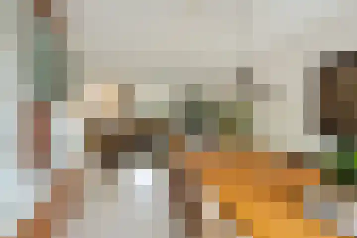 Prins Mauritssingel 20 Woerden thumbnail 16