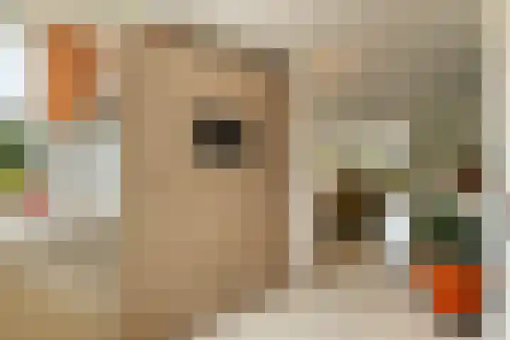 Prins Mauritssingel 20 Woerden thumbnail 20