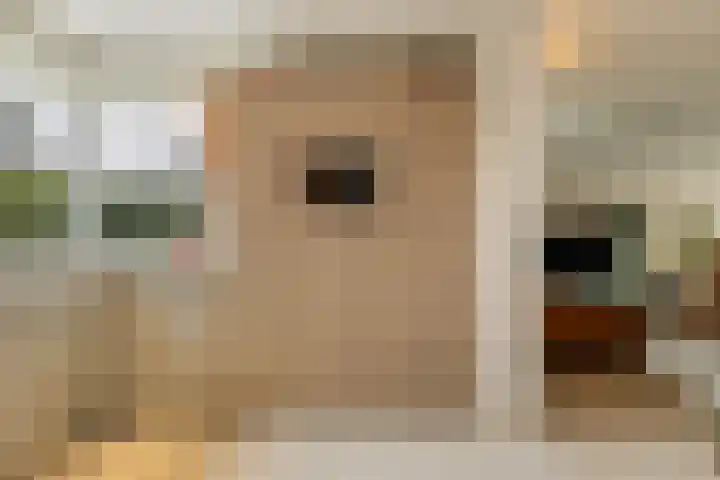 Prins Mauritssingel 20 Woerden thumbnail 21