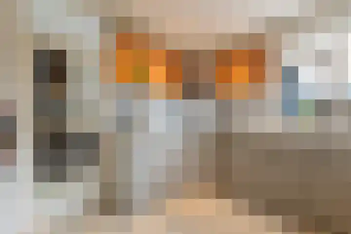 Prins Mauritssingel 20 Woerden thumbnail 23