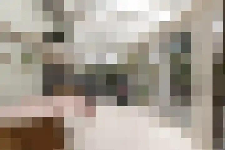 Prins Mauritssingel 20 Woerden thumbnail 27