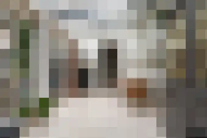Prins Mauritssingel 20 Woerden thumbnail 28