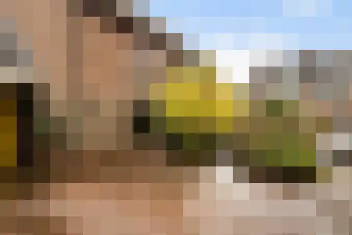 Prins Mauritssingel 20 Woerden thumbnail 4