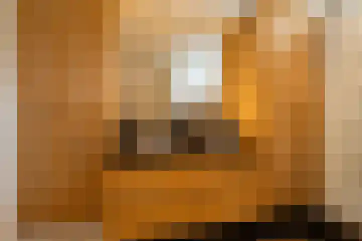 Prins Mauritssingel 20 Woerden thumbnail 43