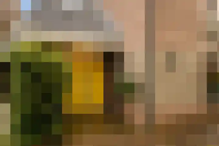 Prins Mauritssingel 20 Woerden thumbnail 5