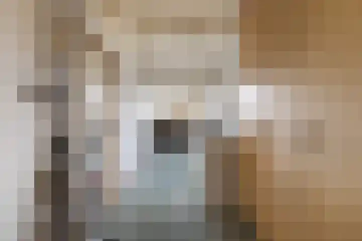 Prins Mauritssingel 20 Woerden thumbnail 55
