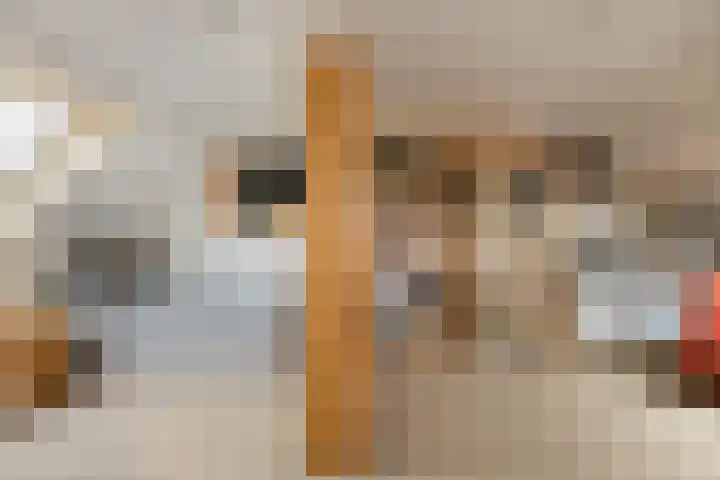Prins Mauritssingel 20 Woerden thumbnail 56