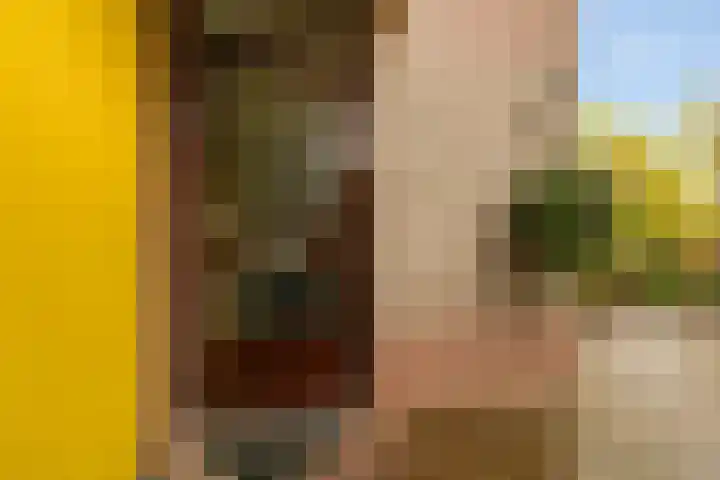 Prins Mauritssingel 20 Woerden thumbnail 6