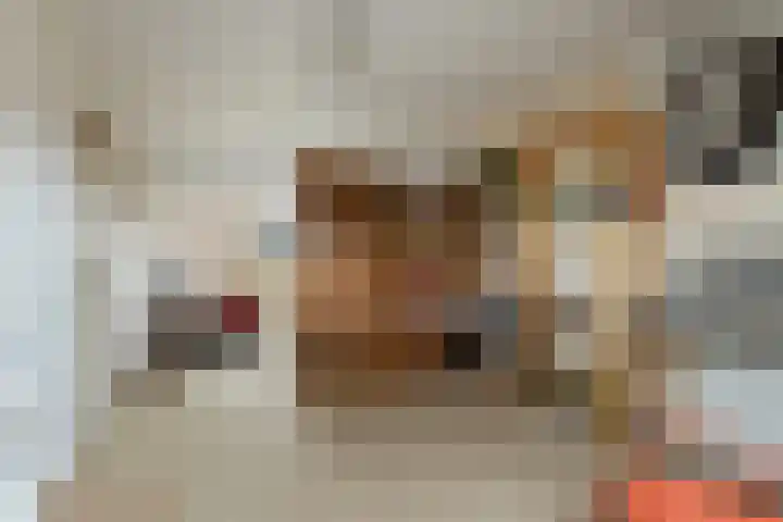 Prins Mauritssingel 20 Woerden thumbnail 61