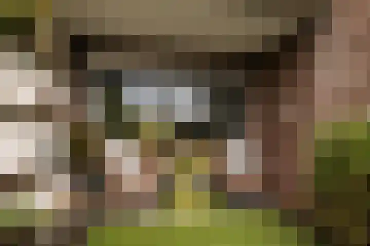Prins Mauritssingel 20 Woerden thumbnail 63