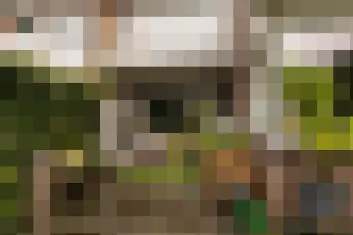 Prins Mauritssingel 20 Woerden thumbnail 64