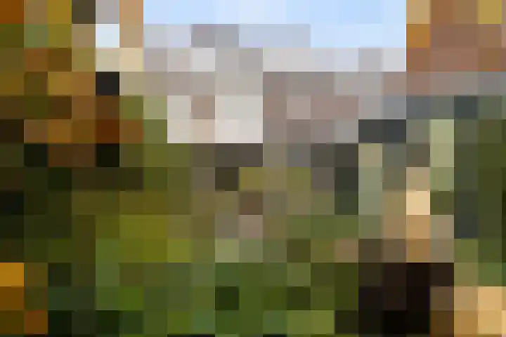 Prins Mauritssingel 20 Woerden thumbnail 65