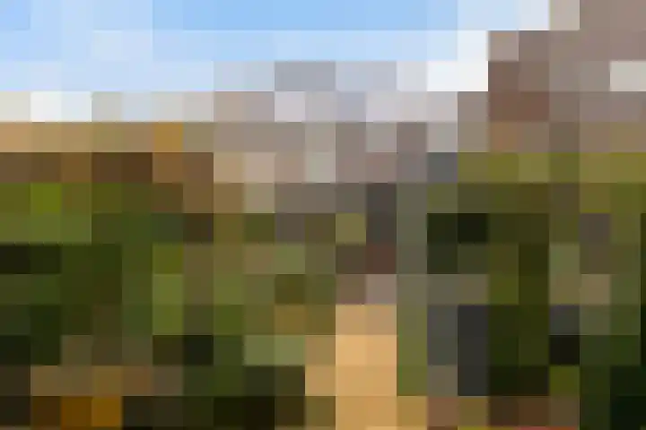Prins Mauritssingel 20 Woerden thumbnail 66