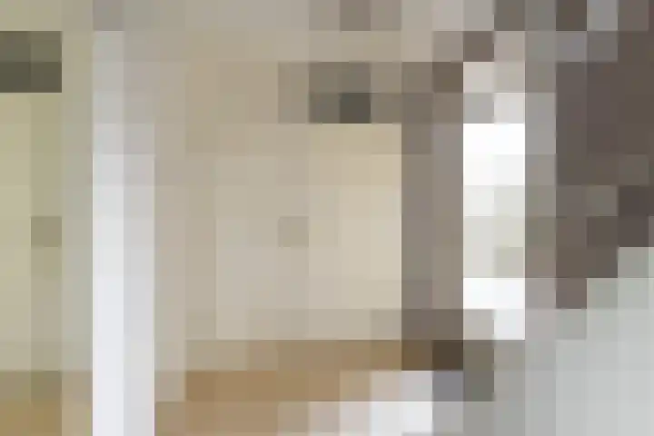 Prins Mauritssingel 20 Woerden thumbnail 7