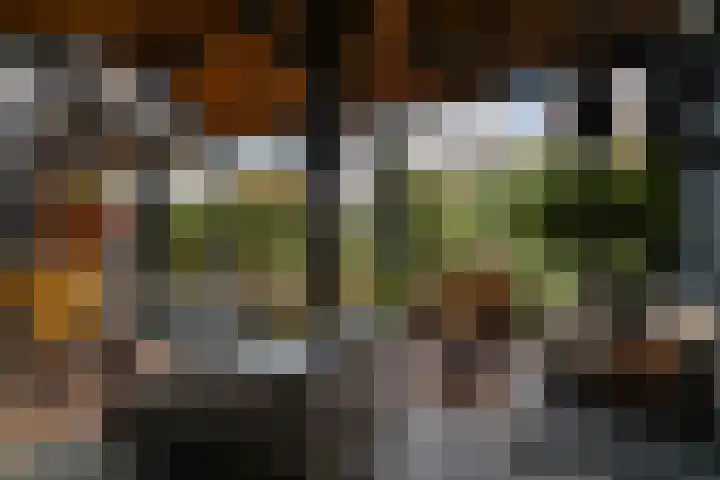 Prins Mauritssingel 20 Woerden thumbnail 72