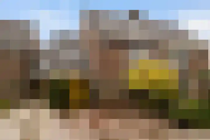 Prins Mauritssingel 20 Woerden thumbnail 78