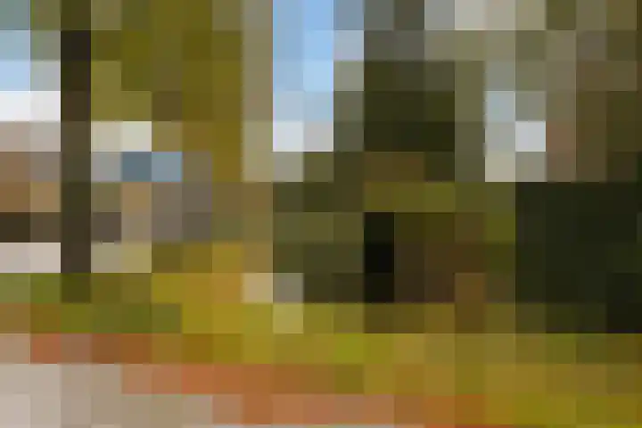 Prins Mauritssingel 20 Woerden thumbnail 80
