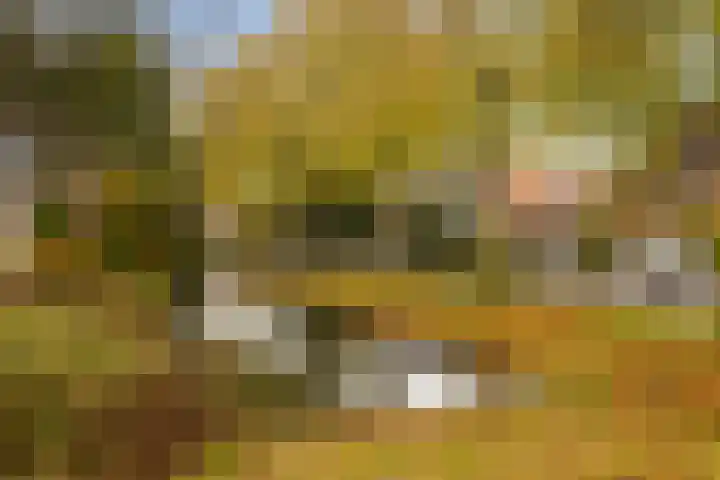 Prins Mauritssingel 20 Woerden thumbnail 81
