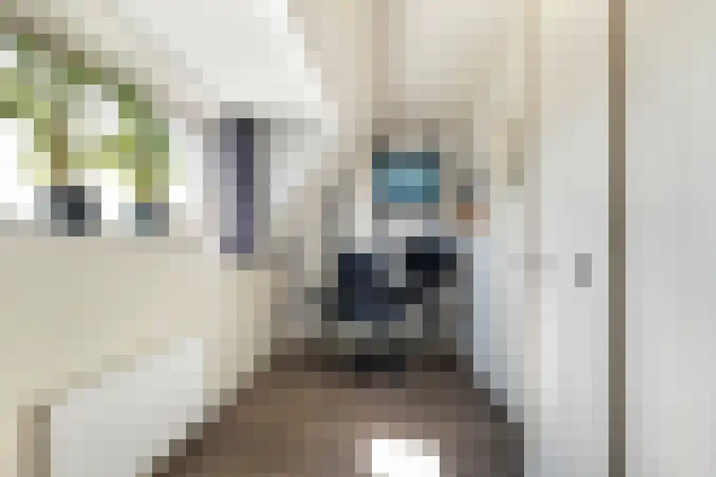 Prins Mauritssingel 25 A Rotterdam thumbnail 25