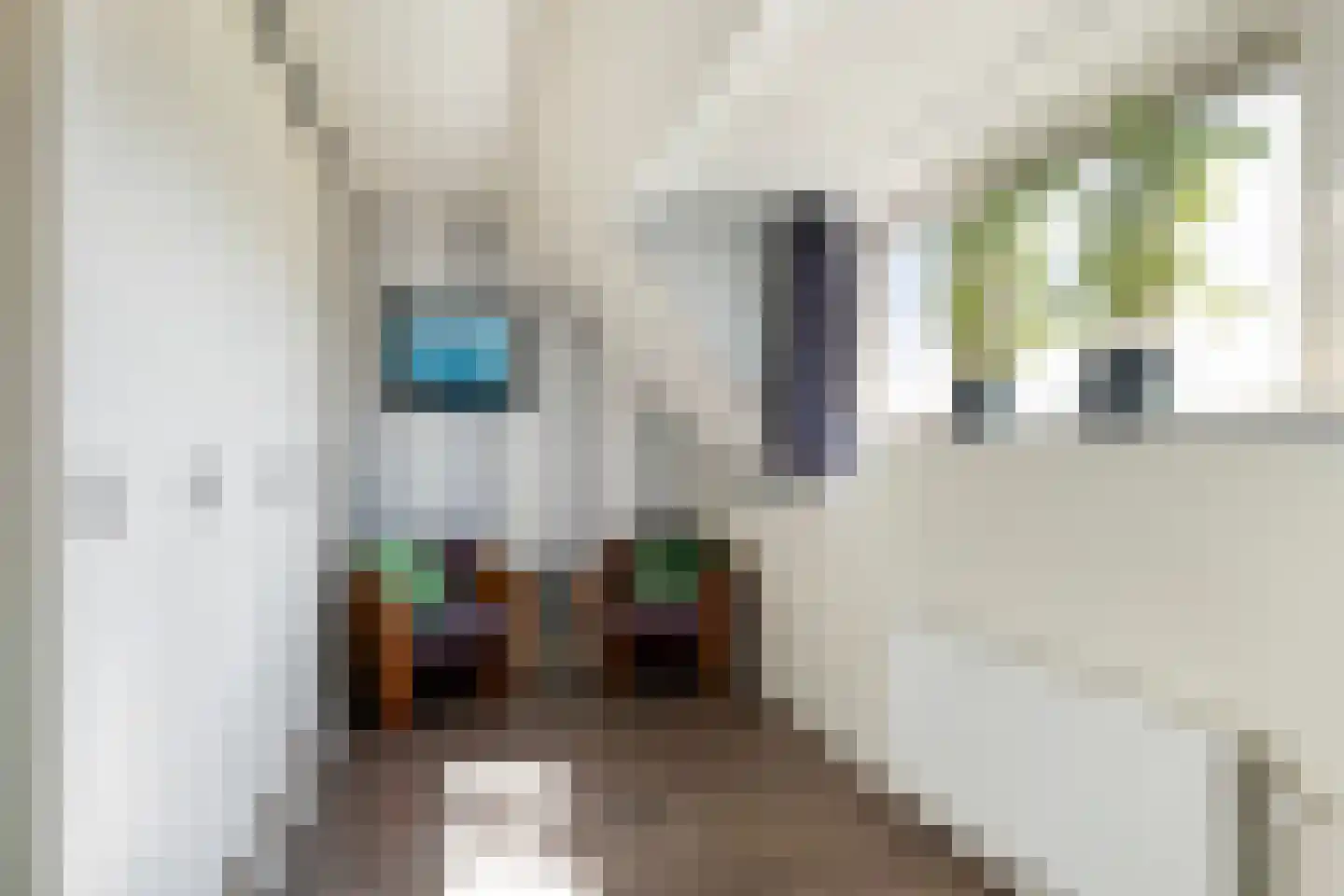 Prins Mauritssingel 25 A Rotterdam thumbnail 26