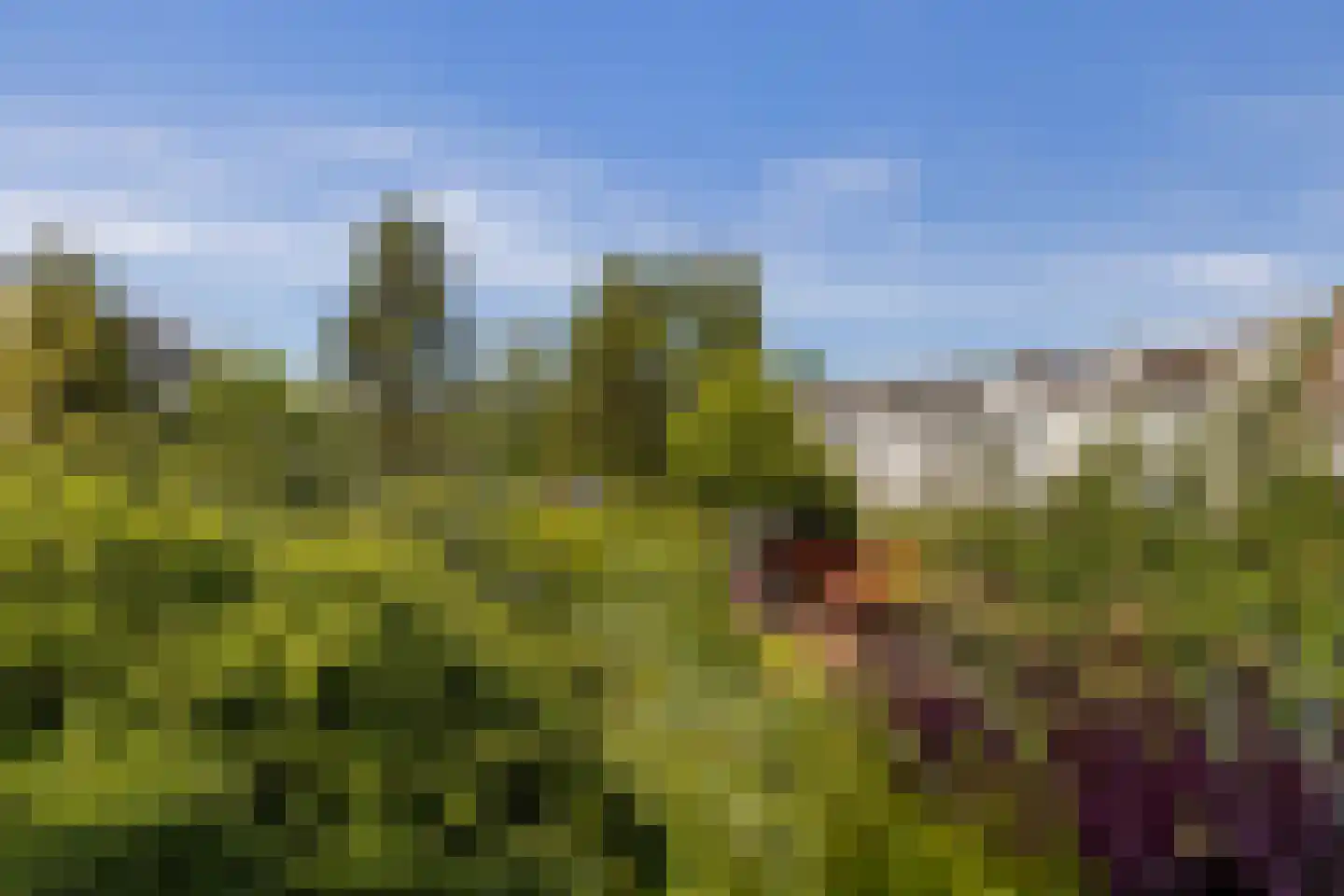 Prins Mauritssingel 25 A Rotterdam thumbnail 36