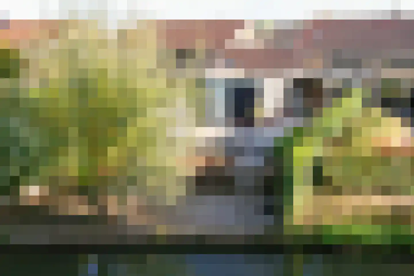 Prins Mauritssingel 36 Beesd thumbnail 11
