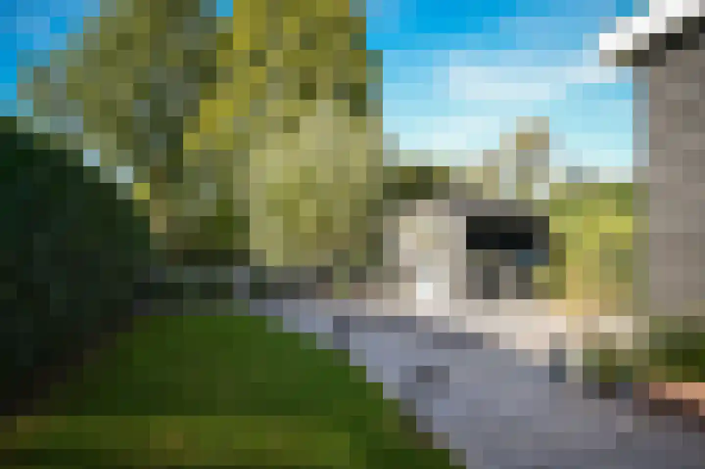 Prins Mauritssingel 36 Beesd thumbnail 44