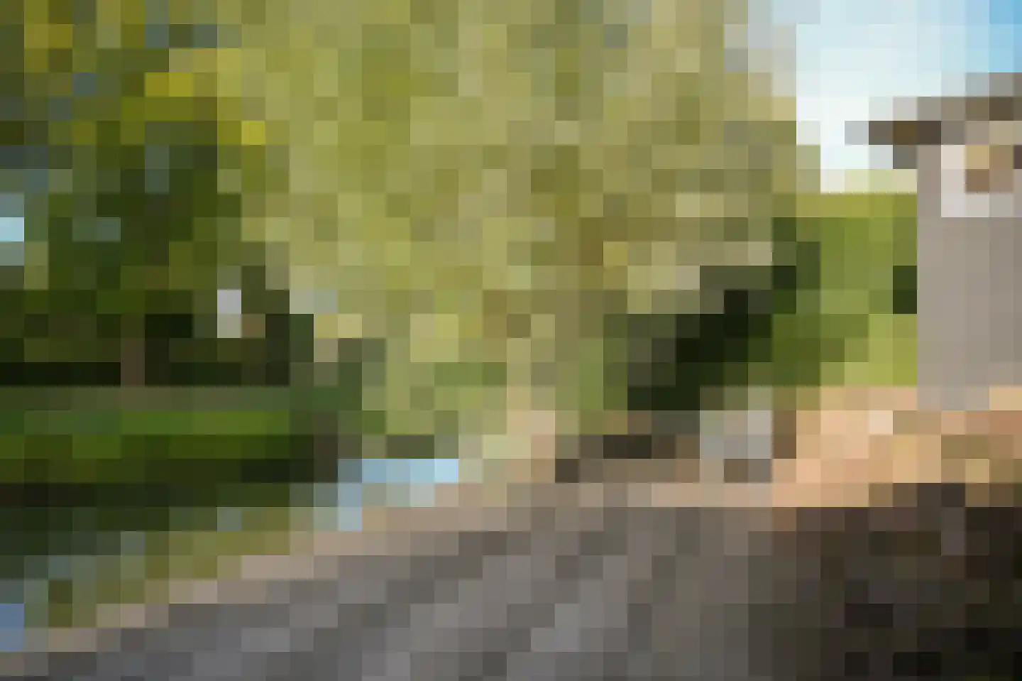 Prins Mauritssingel 36 Beesd thumbnail 47