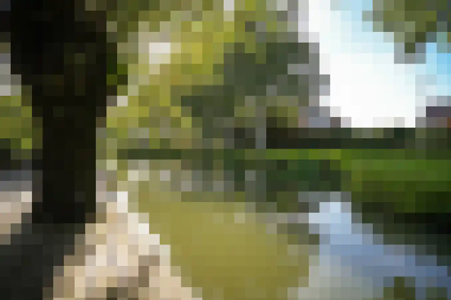 Prins Mauritssingel 36 Beesd thumbnail 50