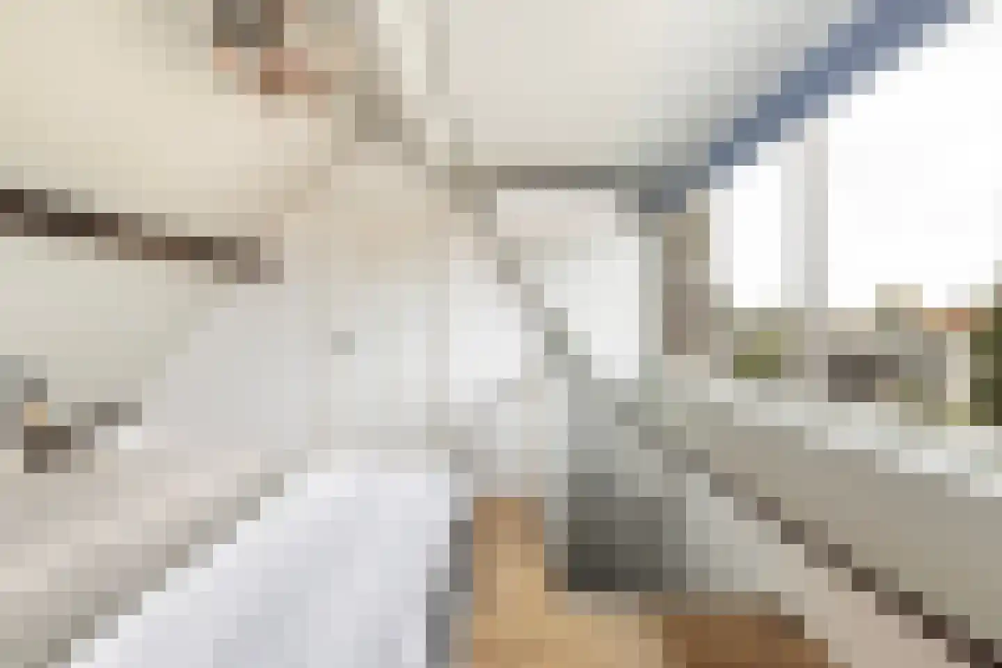 Prins Mauritssingel 37 B Rotterdam thumbnail 35