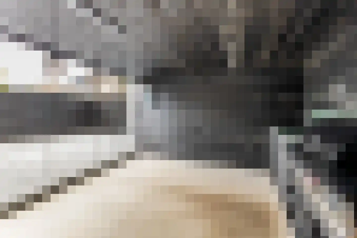 Prins Mauritssingel 6 Beesd thumbnail 31
