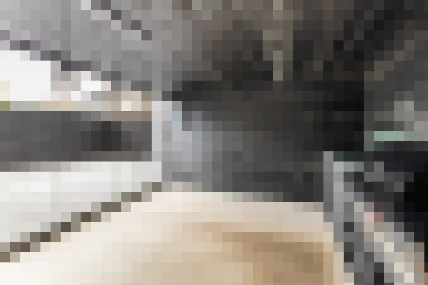 Prins Mauritssingel 6 Beesd thumbnail 31