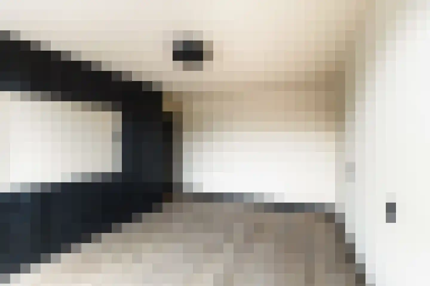 Prins Mauritssingel 6 Beesd thumbnail 36