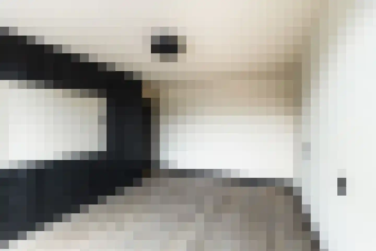Prins Mauritssingel 6 Beesd thumbnail 36