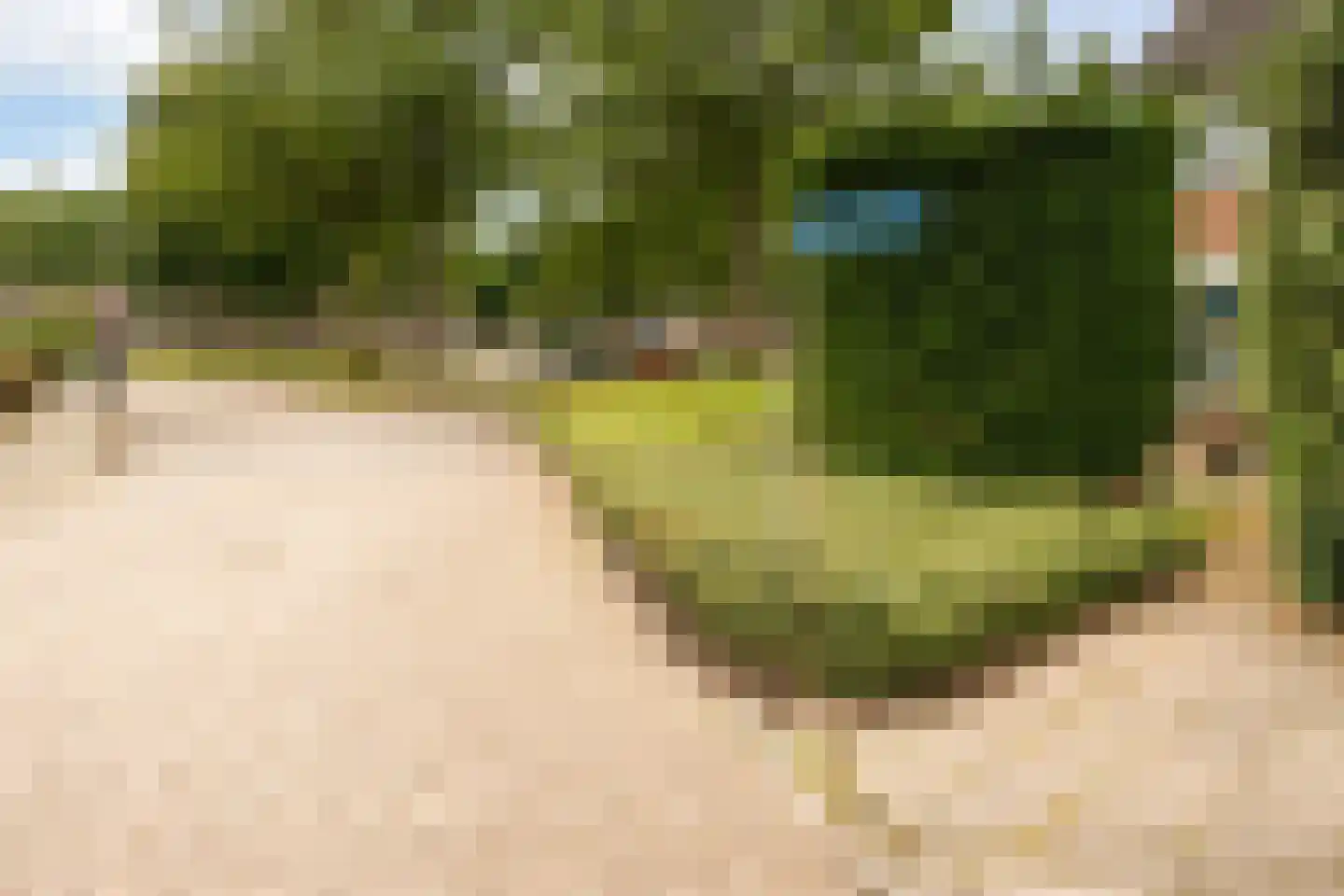 Prins Mauritssingel 6 Beesd thumbnail 55