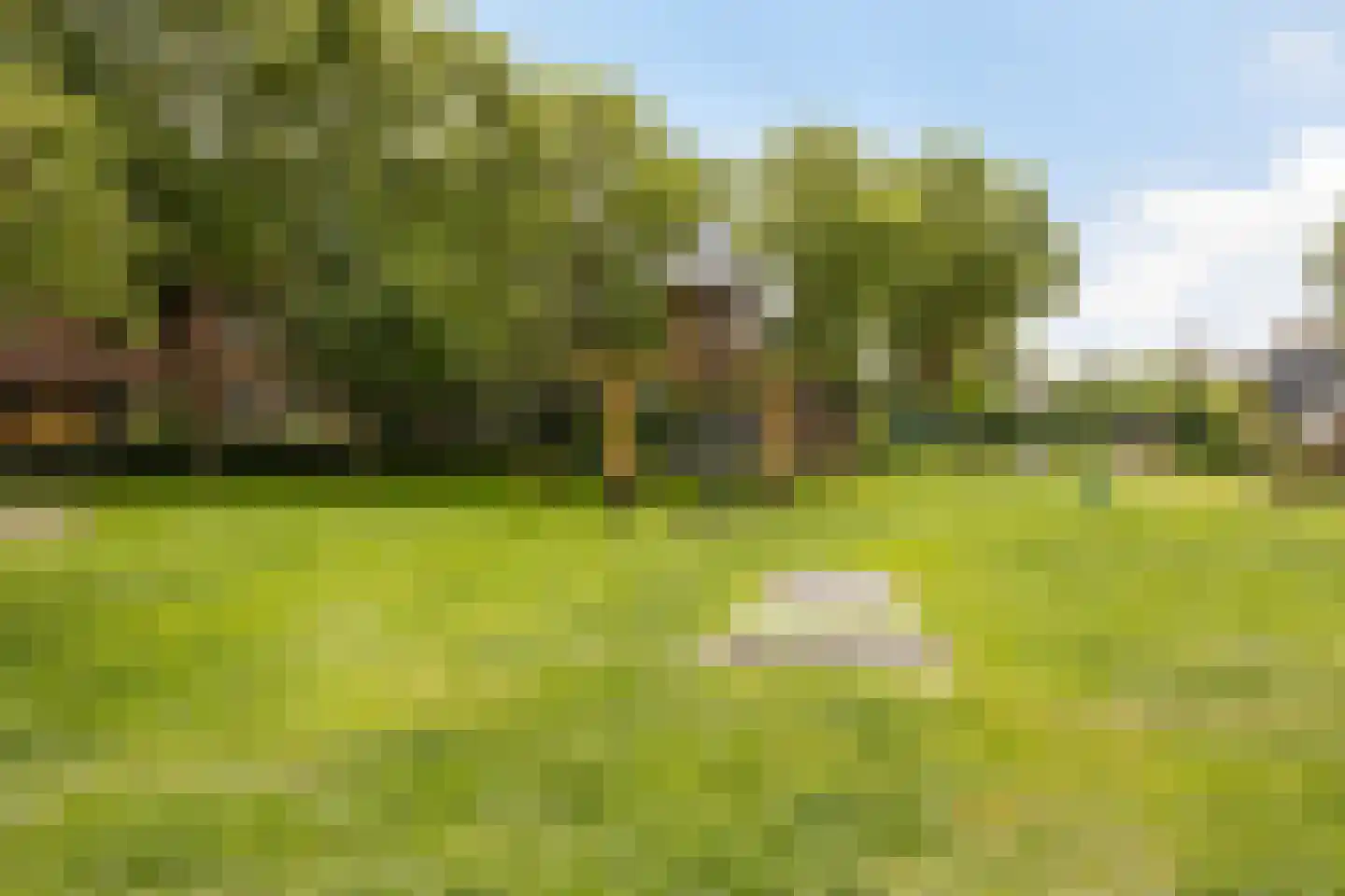 Prins Mauritssingel 6 Beesd thumbnail 56