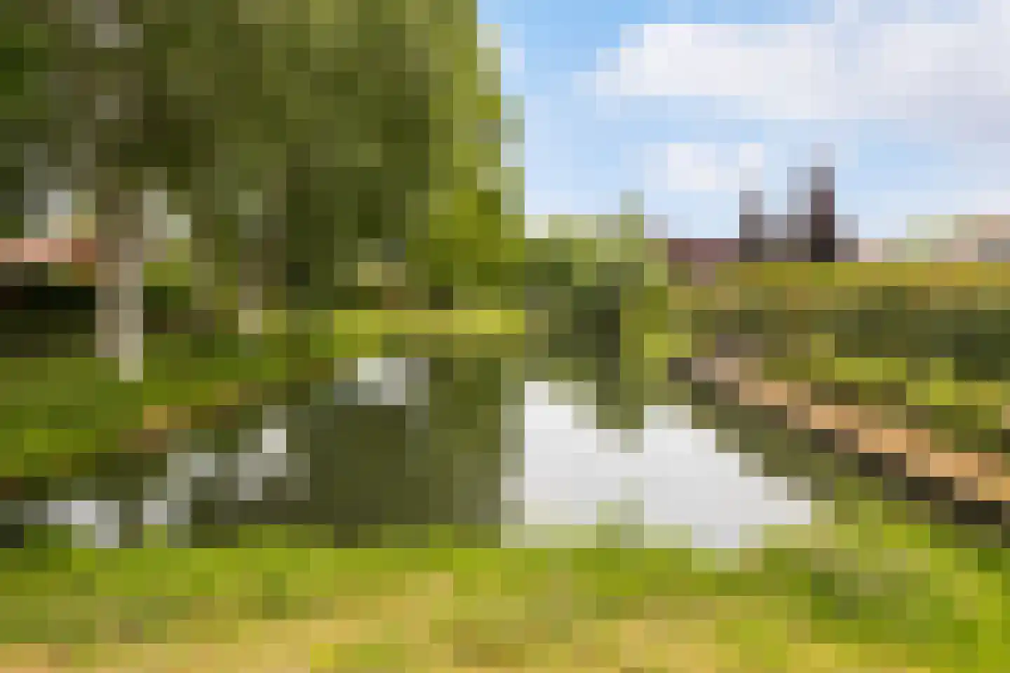 Prins Mauritssingel 6 Beesd thumbnail 57
