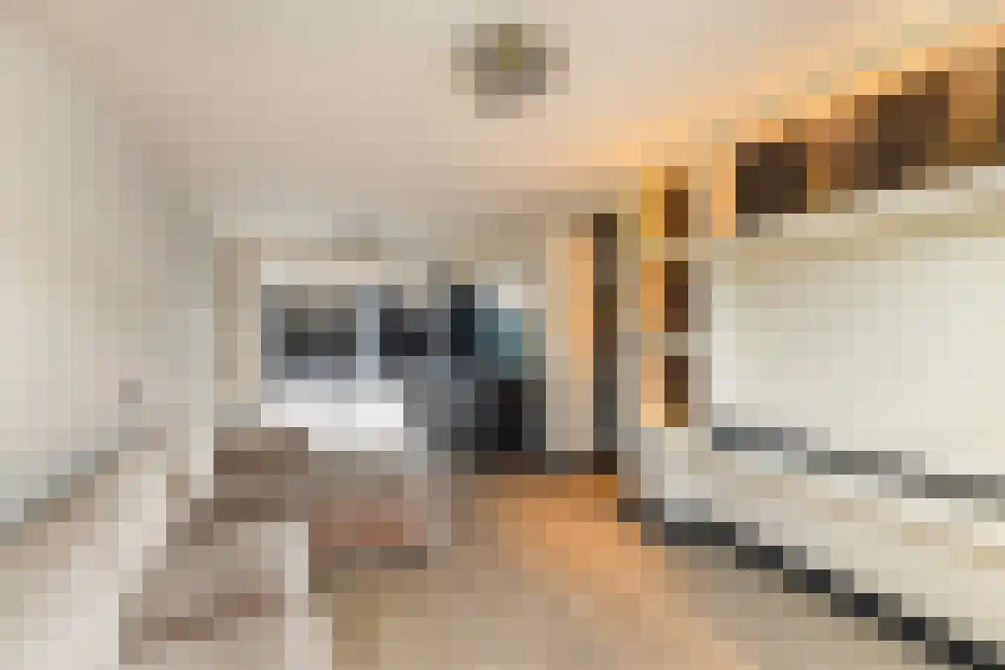 Prins Mauritssingel 6 Beesd thumbnail 8